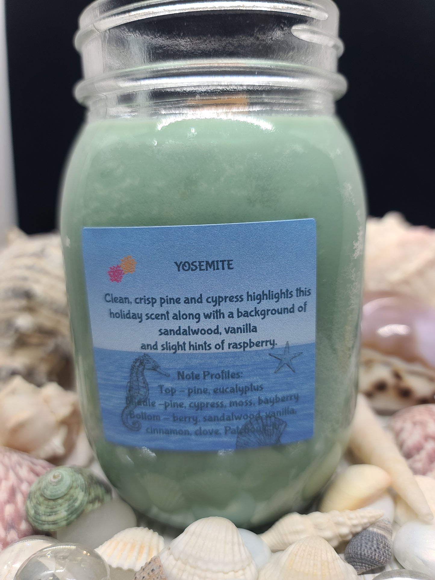 YOSEMITE CANDLE 16OZ MASON JAR