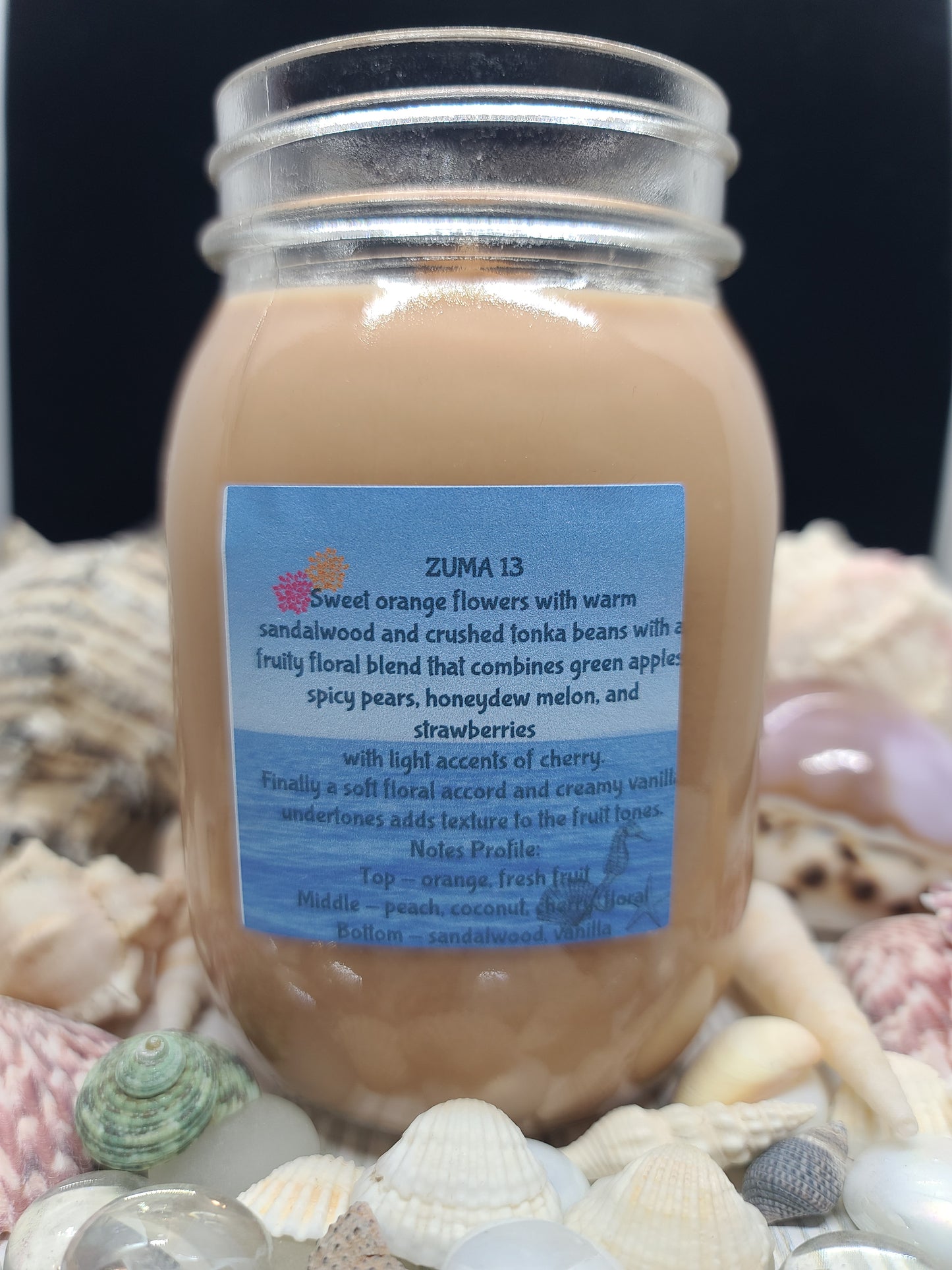 ZUMA 13 CANDLE 16OZ MASON JAR